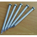 Galvanized Steel Concrete Nail